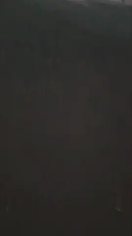 #CapCut 