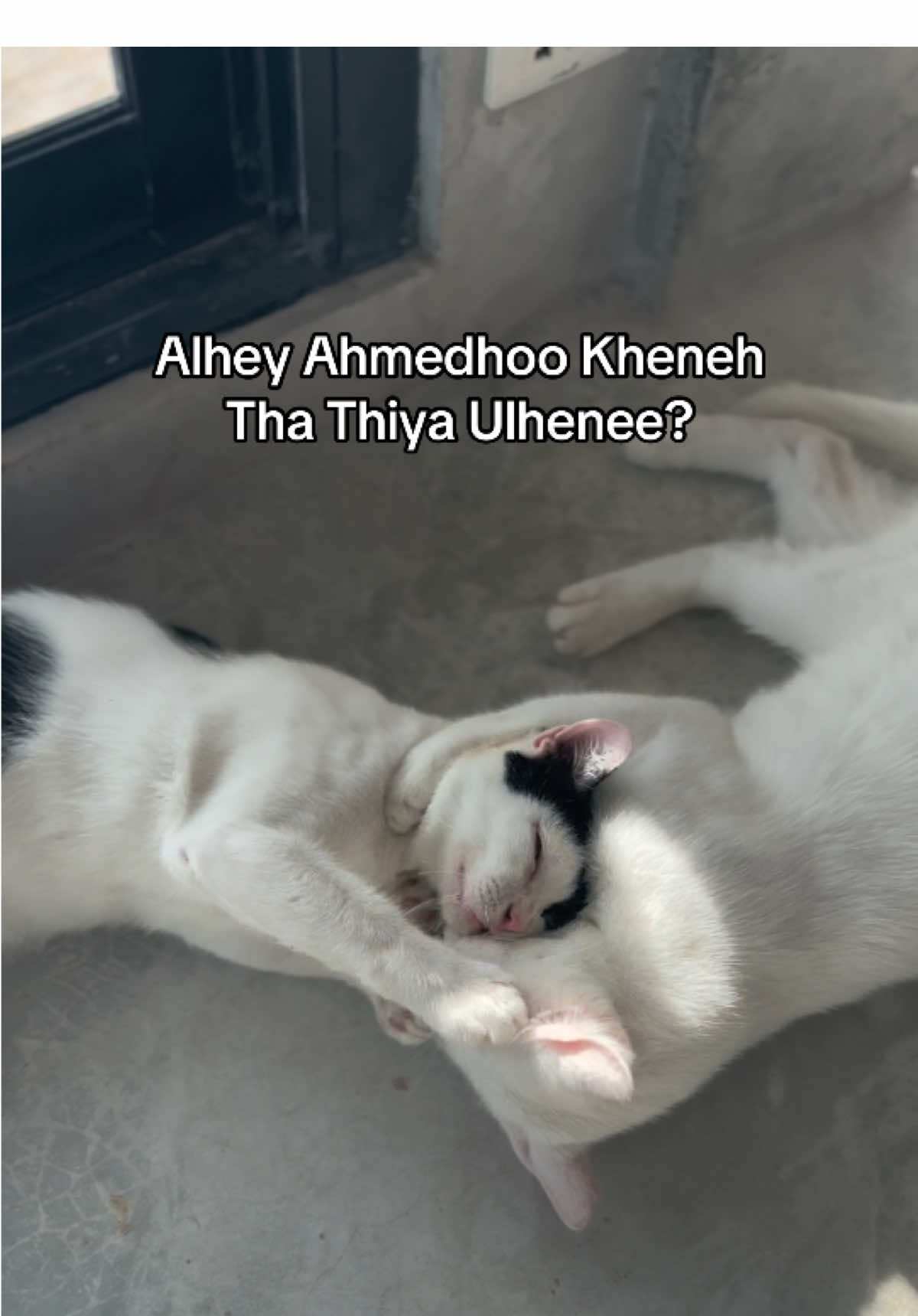 Ahmed Kheneh Tha Thiya Ulhenee? #fyp #creatorsearchinsights #viral #tiktok #foryou 