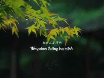 “Lời hí nói rằng, tương phùng rồi khó tránh khỏi biệt ly” #hivanthuyet #nhaccophong #phongcanh #abcxyz #xuhuong 