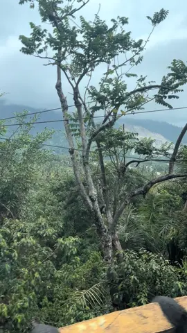 Semen Padang sudah ada sejak abad 18 belum habis bukit di indrarung 