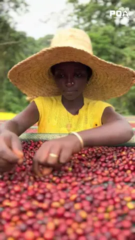 Africa Is Invention Rich From coffee in Ethiopia, mathematics in Egypt, modern medicine breakthroughs, to the smartphone revolution—Africa’s impact is everywhere. #AfricaInnovation #MadeInAfrica #africa #invention