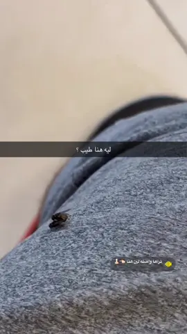 يالله صباح خير  #explore #foryoupage #explorepage 