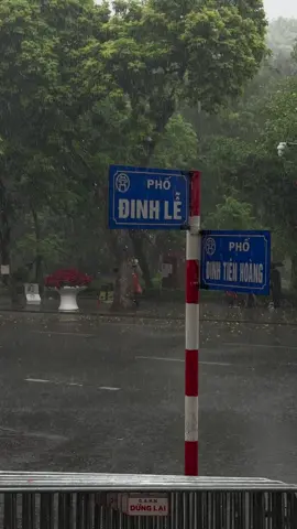 thu Hà Nội phiên bản không giống trên mạng lắm #thu #muathu #fyp #xuhuong #muathuhanoi 