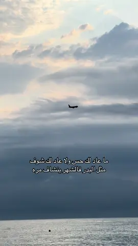 ما عاد لك حس ولا عاد لك شوف ‏ مثل البدر فالشهر ينشاف مره #fyp  #إكسبلور #ترند  #explore #fypシ゚ 
