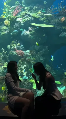 Oceanarium date w ur friends 10/10!!! #oceanarium #aquarium #dateideas #placetogo 