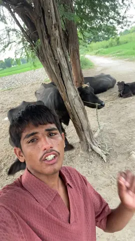 @fasil kamboh232 falt issue ban gay tha