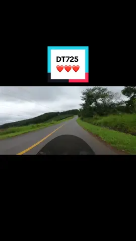 DT725 đường sạch, cảnh đẹp vắng vẻ, an toàn ❤️❤️❤️