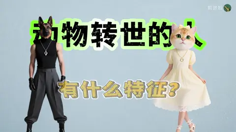 動物轉世的人有什麽樣的行為特征？ 所以我上輩子是隻🐦 😅😅😅 #狗狗 #貓咪 #鳥 #倉鼠 