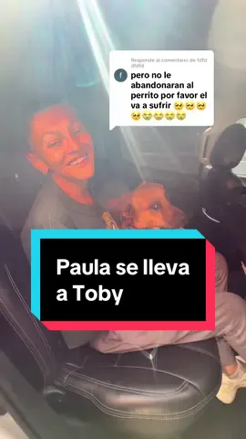 Respuesta a @fdfd dfdfd gracias por la preocupación que tienen muchos por la mascota de Paula (Toby) pero él está con su dueña a buen recaudo en Ibarra en la Fundación #WillyEc #ayudasocial 