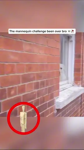 Who’s gonna tell bro 😭 #dog #mannequinchallenge #stuck #frozen #walk 