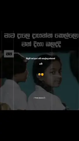 මාව දැලෙ දාගන්න කෙල්ලො මන් දිහා බලද්දි මම 😂😂 #vishu_quotes__ #quotes #viral #fypシ #froyou #foryoupage 