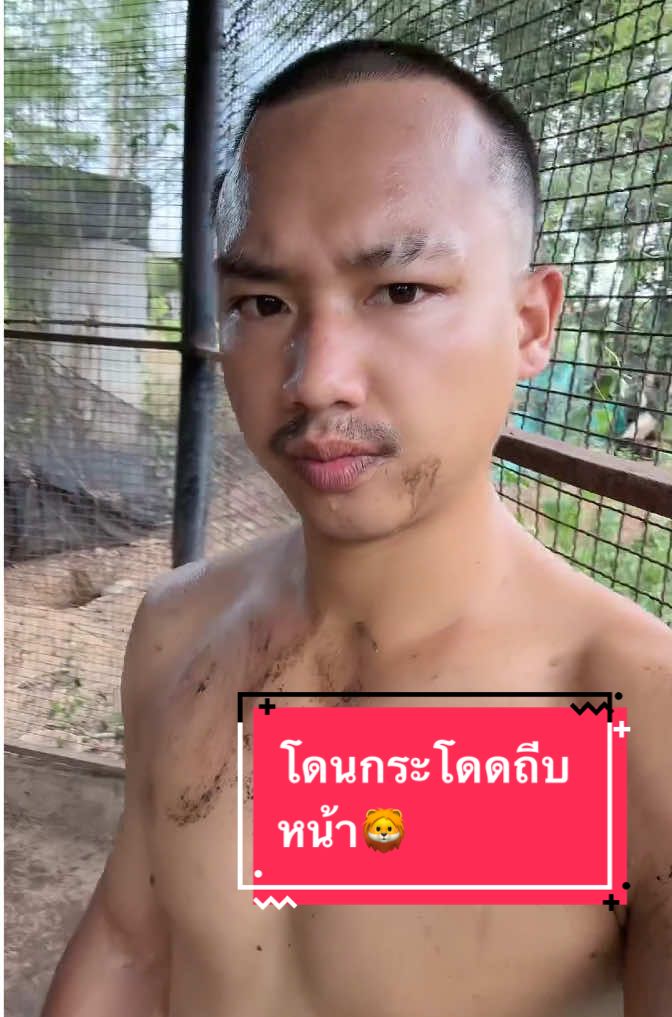 หมดคำจะพูดสำหรับคนที่อยากจะเลี้ยงสิงโตดูพี่เอาไว้ 🦁⚠️