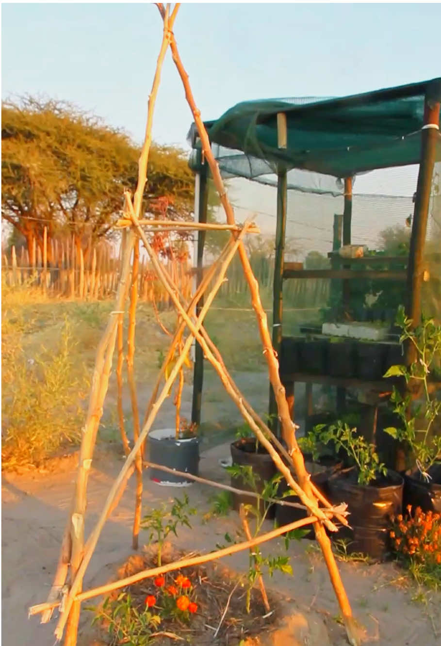 #gardenwithrubbi 
