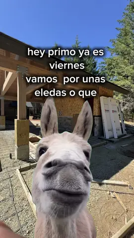 #Meme #MemeCut ✅✅