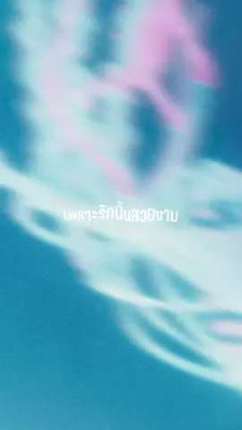 dom - แมงกะพรุน MV outnow!! #fyp #dommanbu #viral #newmusic #เธรดเศร้า
