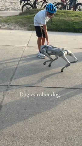 Using my recommended sounds 😭😂 #robot #robotdog #airobot #fyp 