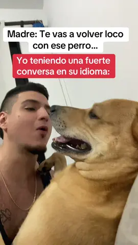 Firu: No te doy otra nomass..👋🏻🐶