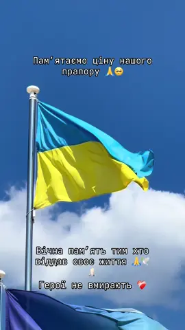 ми живемо під синьо-жовтим прапором , бо хтось віддав за це життя ❤️‍🩹🕊️🕯️Памʼятаємо 🕯️#деньпрапора #прапор #стяг #україна 