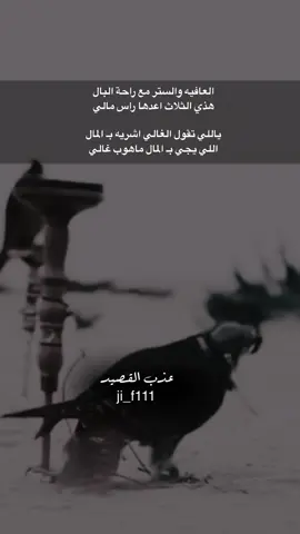 #عذب_القصيد #tiktokarab #محمود_الجبلي #قصيد #شعر 