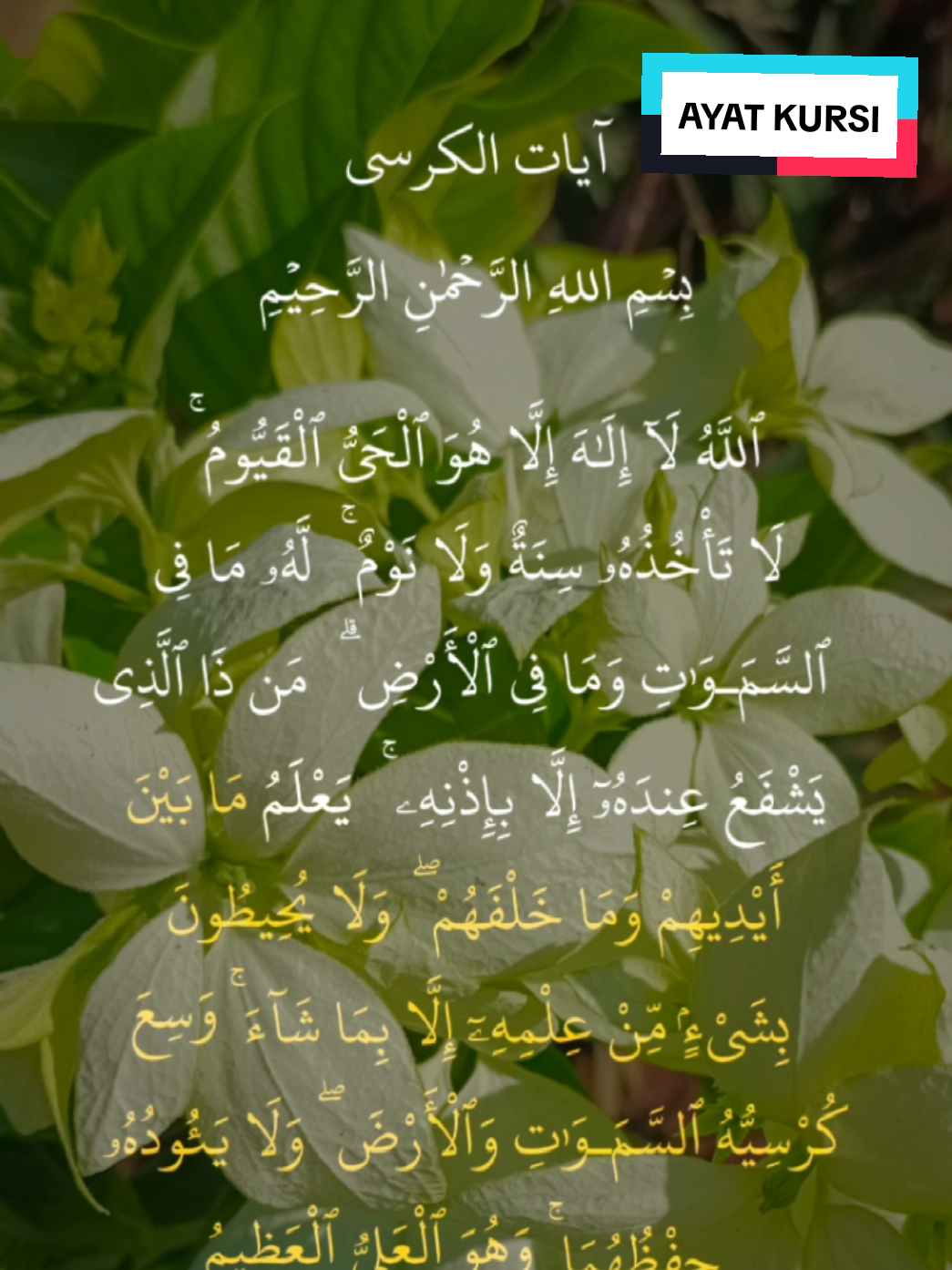 Ayat Kursi #CapCut 