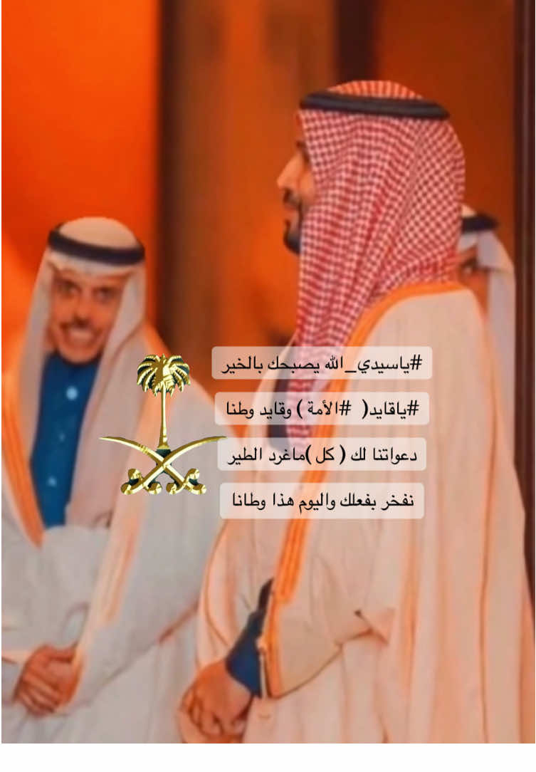 #محمد_بن_سلمان #الامير_محمد_بن_سلمان #saudi_girl344 #عزنا_بطبعنا #اليوم_الوطني_95 