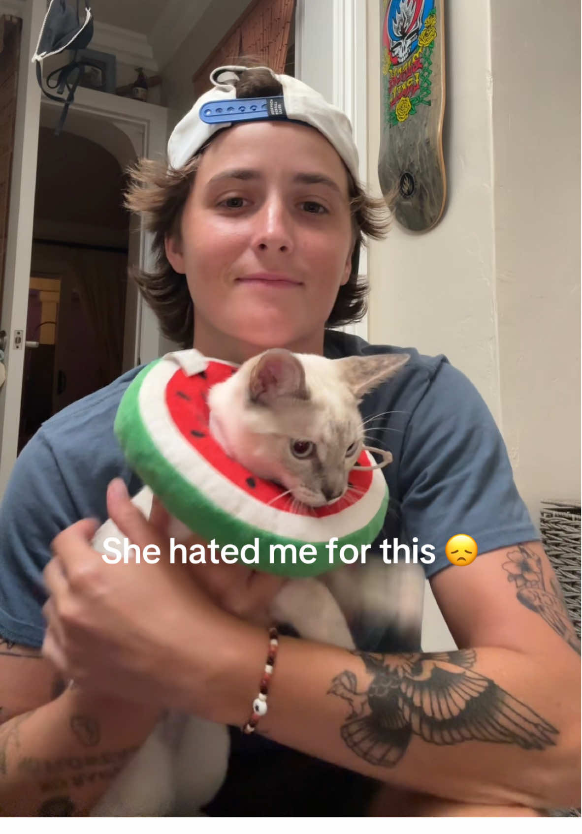 #cattok #meow 