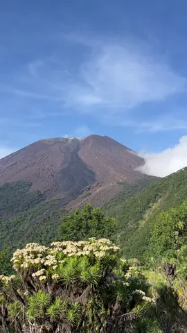 Secandu ini view nya #gunungslametviajagarimba #gunungslamet #gunungslametviambaru #pendakigunung 