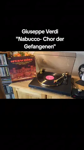Für mich ein Gänsehautlied, das mich sehr berührt. Geschrieben 1841. #fyp #nowspinning #vinylcollection #verdi #klassik 