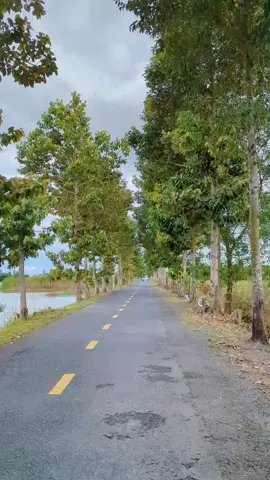 Cảnh đẹp quá 🥰#xuhuong #viralvideo #xuhuongtiktok #canhdepthiennhien #95haugiang 