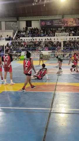 El verdadero show 🤣 Las Divas del Norte 🏐  @ALTAGRACIA @Laregiapiñata(Oficial) ❤️ @LA LENGUA🐍 #xyzbca #coliseoinca #voley #fypシ゚ #parati 