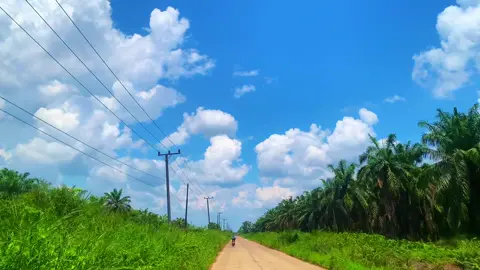 #fyp 
