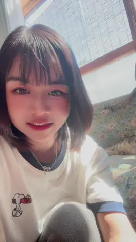 北見　猫カフェ🐈🐈 　ချေမိုးနေရော🥲