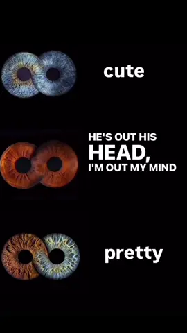 🤎+🤎 #browneyes#brownandbrowneyes#🤎+🤎 #fyp #viralvideo @🌸كِنده⛹️‍♀️ 