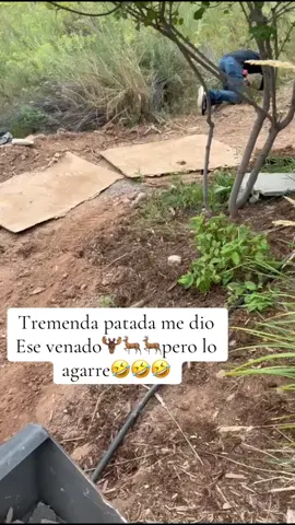 @Adan Funez @Ángel Funez @nelsonfuentes8456 @🎀“Dary”🎀 #bendiciones🌹❤️🙌🏻🙌🏻🙏 #cristobienepronto #mishermanos 