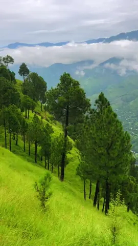 مجہوئ کا خوبصورت منظر 🍁❣️