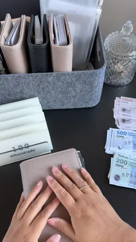 UNPACKING AF PLACEHOLDERS FRA @Heidi Hodgson - Jeg er vild med dem ♥️ Tusind tak! #cashstuffing #cashstuffingdenmark #opsparing #ægtebudget #placeholders 