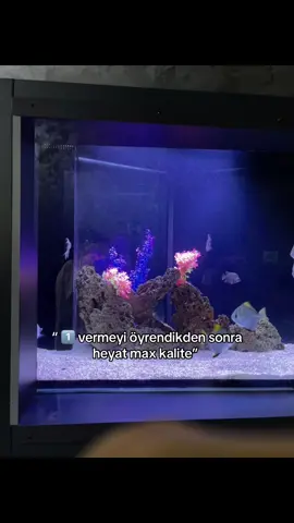 #keşfet #global 