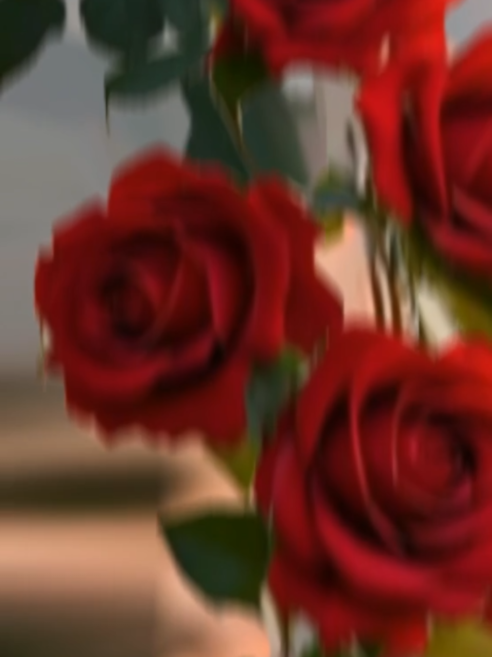 7 Red Rose's #mehrbanali #redrose #wazifa #growmyaccount #islamic_vibes1512 