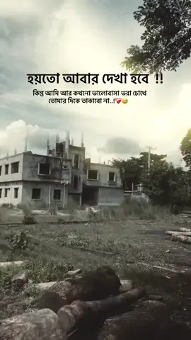 হয়তো আবার দেখা হবে কিন্তু আমি আর কখনো ভালোবাসা ভরা চোখে তোমার দিকে তাকাবো না...! ❤️‍🩹😅#typ #unfrezzm