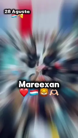 hanbalyo ilma adeer maalintina🇱🇺🦁❤️#mareexanpowers🇱🇺💪 
