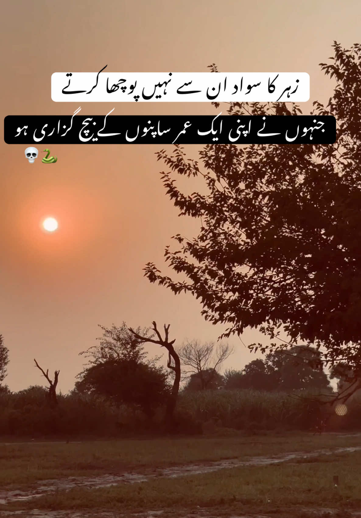 These are snakes💀🐍’ #viraltiktok #sultanwrite34 #foryoupage #millionviews #poetry 