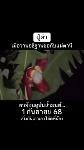 #เทรนด์วันนี้ #คนไทยในเกาหลีใต้🇹🇭🇰🇷 #คนไทยเป็นคนตลก #ปู่ดำ #แม่ตานี 