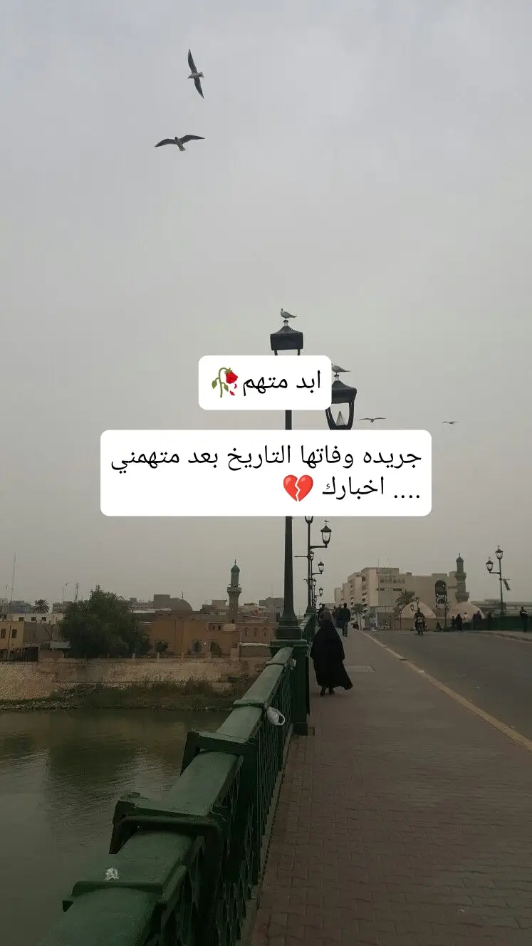 #شعر #سوريا #العراق #اكسبلور                  #الشعب_الصيني_ماله_حل😂😂 