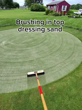 Here we are sweeping the grass again…#backyardputtinggreen 