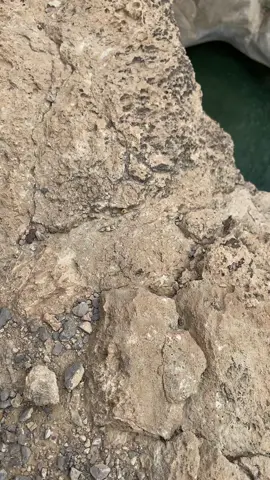 🦋