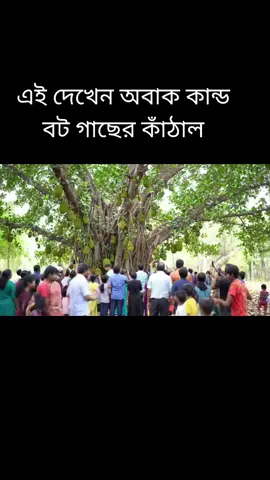 ❤️❤️🥰❤️❤️🇧🇩🇧🇩🇧🇩