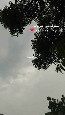 #الوريفة_السمح_خريفةة🥀🌹💧  #الشعب_الصيني_ماله_حل😂😂  #fypシ゚ 