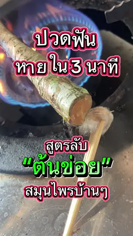 #สมุนไพรแก้ปวดฟัน ”ต้นข่อย“ สมุนไพรบ้านบ้านหาง่าย  ใช้ดี  แก้ปวดฟัน  #ฟั#ฟันเป็นรูห#เหงือกอักเสบดทรมาน  สูตรลับคนโบราณ  ลองเอาไปใช้ดู  ดูจนจบพร้อมวิธีทำ 