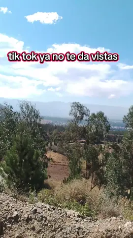 tik tok ya no te da vistas 