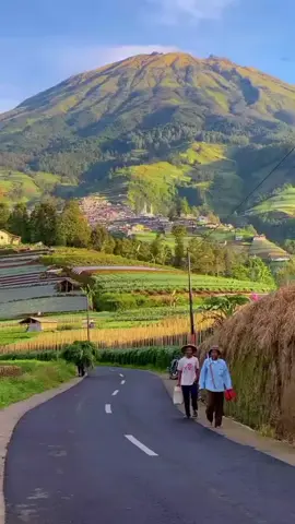 pesona Wonosobo masyaalloh